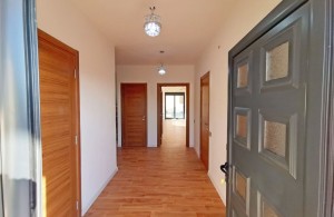 thumb_3250679_villa_u_baru_montenegro8.jpg