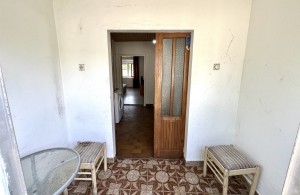 thumb_3260979_img_3660.jpeg