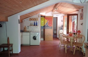 thumb_3267307_happymontenegro-nedorogie-kvartiri6.jpg