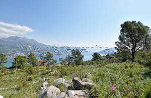 thumb_3275038_e_plot_for-sale_prodaja_zemljiste_herceg-novi_zvinje--1-.jpg