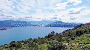 thumb_3275038_e_plot_for-sale_prodaja_zemljiste_herceg-novi_zvinje--8-.jpg