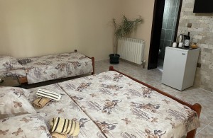 thumb_327947_img_0379.jpg