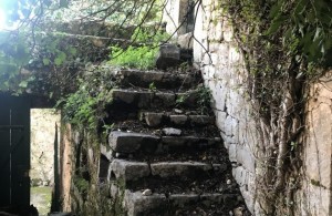 thumb_3282749_img_6729r.jpeg