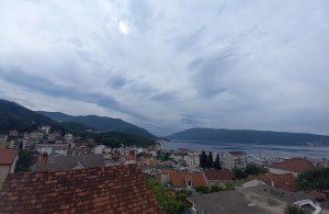 thumb_3287507_20240509_093108.jpg