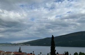 thumb_3291182_6.jpg