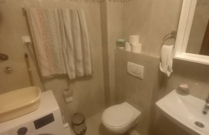 thumb_3292252_20240510_172049r.jpg