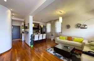 thumb_3294499_2-------------.jpg