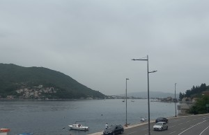 thumb_3294802_20240518_181353.jpg