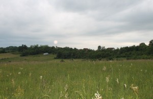 thumb_3294982_img_0669_800_600.jpg