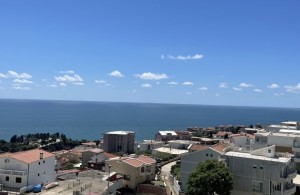 thumb_3297767_img_5943r.jpeg