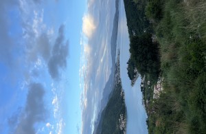 thumb_3303580_img_6116.jpeg