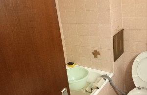 thumb_3306746_20240428_191259.jpg
