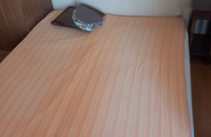 thumb_3306746_20240428_191308.jpg