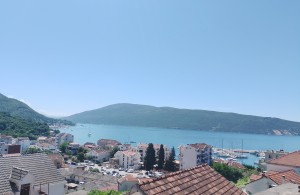 thumb_3306881_img_20240604_110359.jpg
