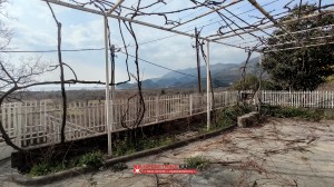 thumb_3309406_jarice-na-prodaju-kuca-pogled-na-more-kamin-nekretnine_2.jpg