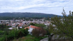 thumb_3311855_img_1526.jpeg
