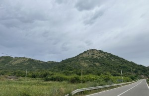 thumb_3312803_img_3193.jpeg