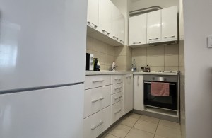 thumb_3313057_img_0683.jpg