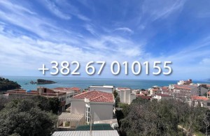thumb_3313729_6.jpg