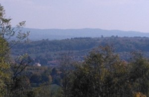 thumb_3316595_2.jpg