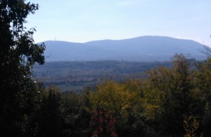 thumb_3316595_3.jpg