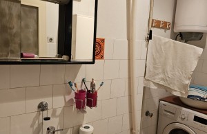 thumb_3321290_6.jpg
