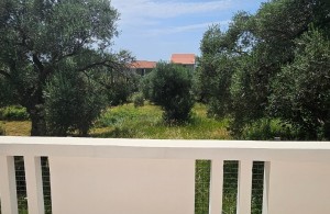 thumb_3322025_thumbnail.jpg