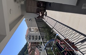 thumb_3322810_img_8119.jpg