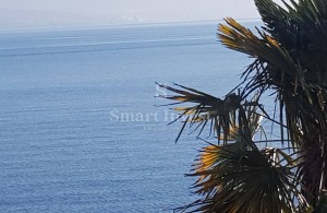 thumb_3323372_1.jpg