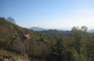 thumb_3324356_1845120_img_5516.jpg