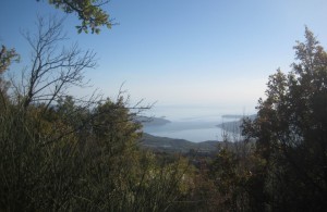 thumb_3324356_1845120_img_5524.jpg