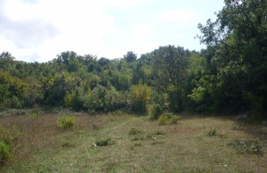 thumb_3324358_11.jpg