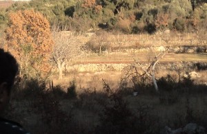 thumb_3324358_12.jpg