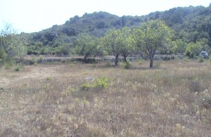 thumb_3324358_8.jpg