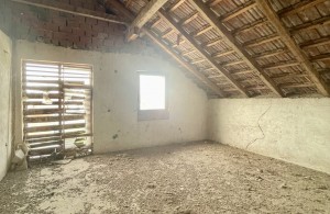 thumb_3325062_img_5855.jpg
