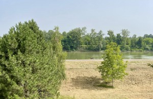 thumb_3325062_img_5866.jpg