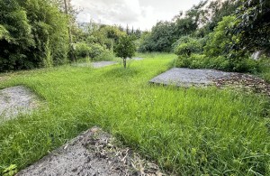 thumb_3326772_al.estate.montenegro.hercegnovi.bythesea.land.djenovici2.jpg