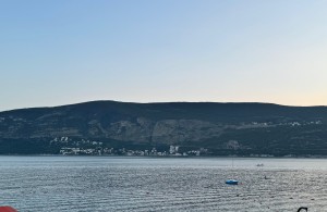 thumb_3327642_5.jpg