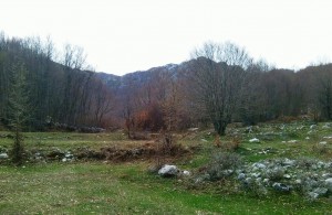 thumb_3327660_img_6361.jpg
