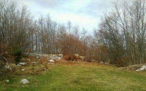 thumb_3327663_img_6353.jpg