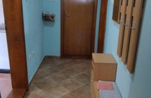 thumb_3330211_pucile-3.jpg