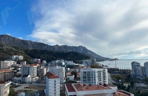 thumb_3331871_4431_photo_2023_01_10_17_13_39.jpg