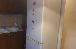 thumb_3338066_sindjelicae.jpg