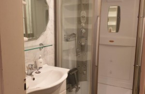 thumb_3338066_smiljanicevabathroom650.jpg