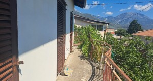 thumb_3339919_7.jpg