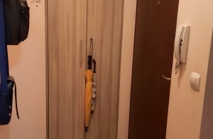thumb_3340653_img_3713.jpeg