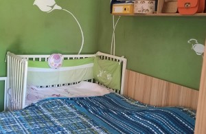 thumb_3340653_img_3729.jpeg