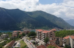 thumb_3341050_photo_1_2024-07-21_19-42-25.jpg