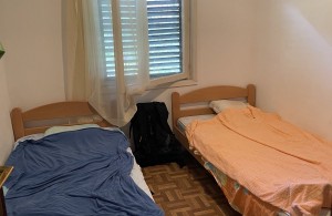 thumb_3342176_img_5464.jpg