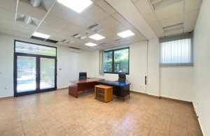 thumb_3343070_2.jpg